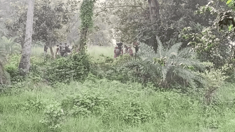 চাঁপাইনবাবগঞ্জ সীমান্তে ২৮ জনকে পুশইনের চেষ্টা