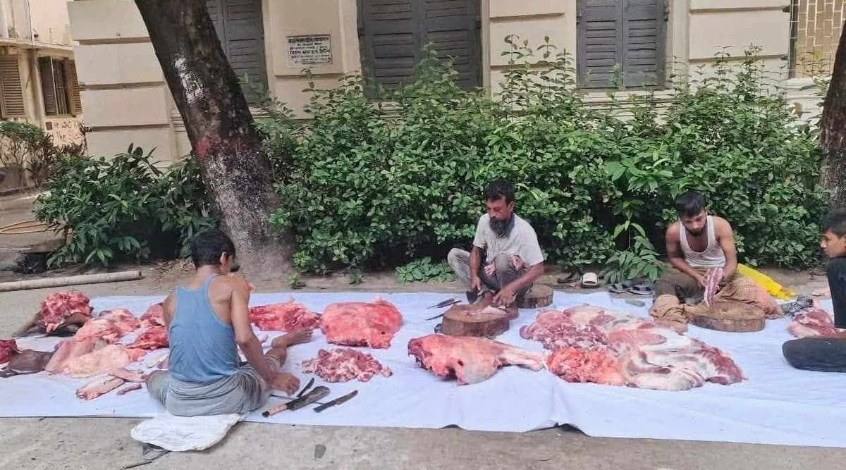 নিষেধাজ্ঞার প্রতিবাদে জবি'র ভিসি ভবনের পাশেই গরু জবাই