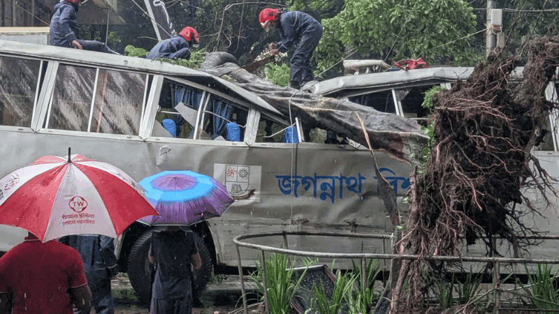 গাছ ভেঙে পড়ে দুমড়ে-মুচড়ে গেল জগন্নাথ বিশ্ববিদ্যালয়ের বাস