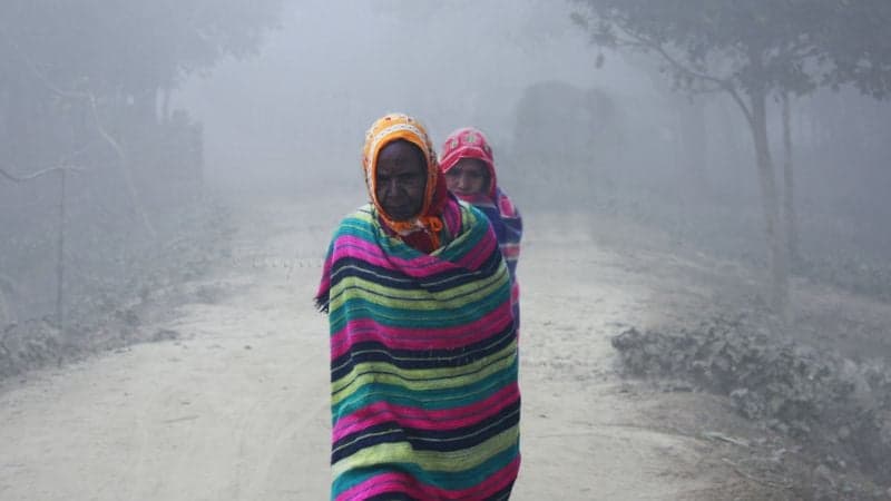 এই শতাব্দীর শেষে বিলুপ্ত হতে পারে শীতকাল: গবেষণা প্রতিবেদন