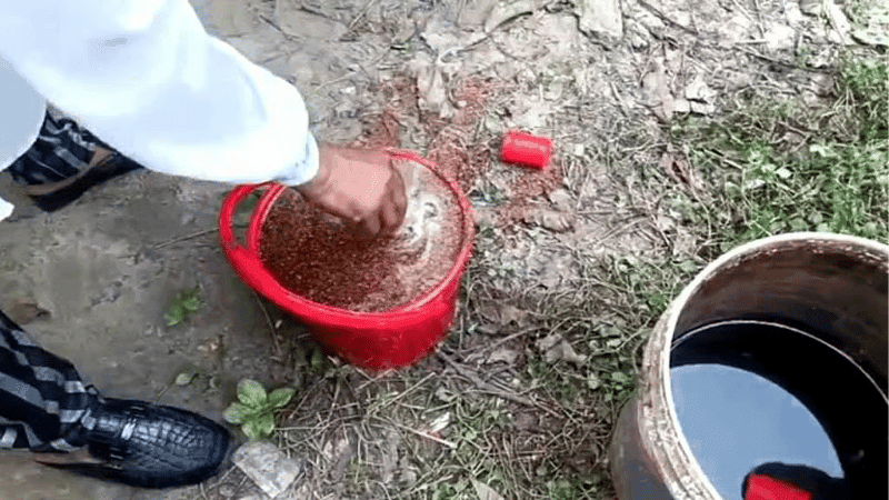 চাঁপাইনবাবগঞ্জে হাতবোমা বিস্ফোরণে আহত ২, অবিস্ফোরিত ১১ বোমা উদ্ধার
