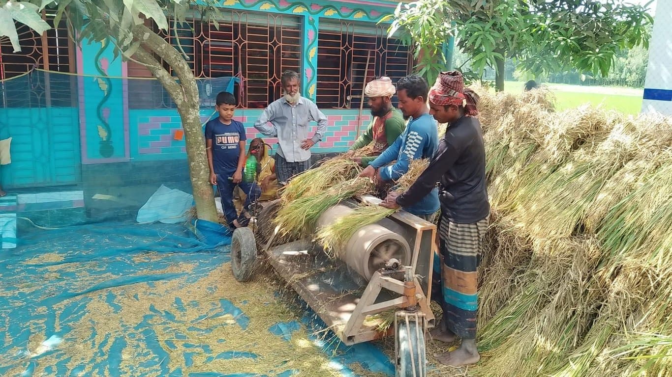 ‘আমরা কৃষকেরা এখন পাঙ্গাস মাছও কিনে খেতে পারি না’