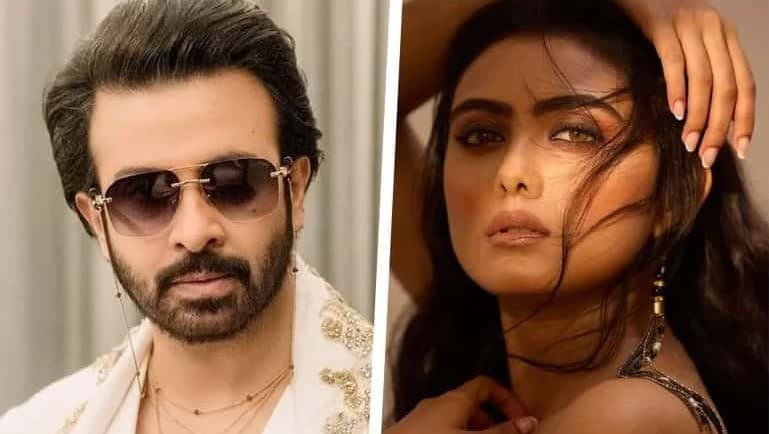 ‘বরবাদ’ জুটির নতুন মিশন, ‘নিঃস্ব’ ঘিরে জমে উঠেছে জল্পনা