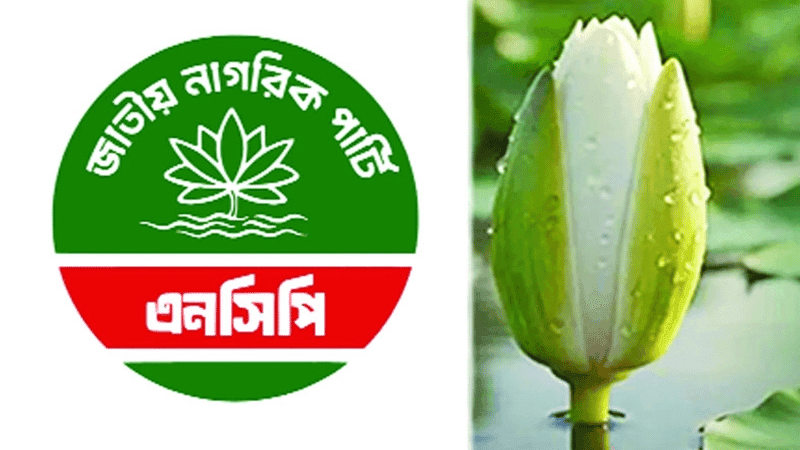 ২৭ আসনে এনসিপির প্রার্থী ঘোষণা, বাকি তিন আসনে শিগগিরই চূড়ান্ত