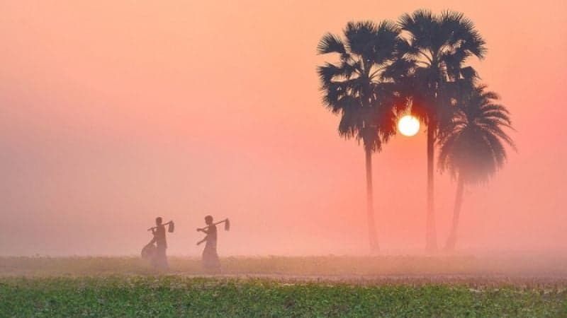উত্তরের হিমেল হাওয়ায় চেপে আসছে শীত 