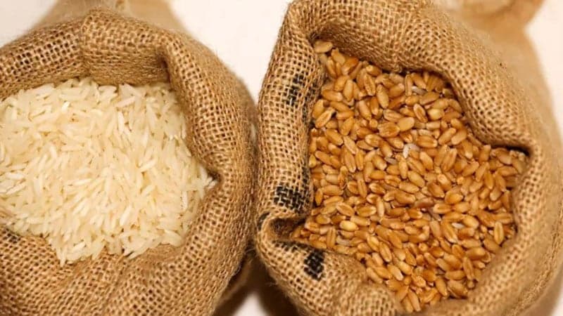 ১৫ দিনের মধ্যে ৬ লাখ টন চাল-গম আমদানি করবে সরকার