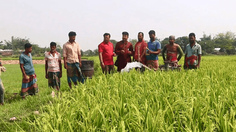 ‘ডিজেলের বিকল্প জ্বালানি’ তৈরি করে আলোচনায় কুষ্টিয়ার উদ্ভাবক মনিরুল