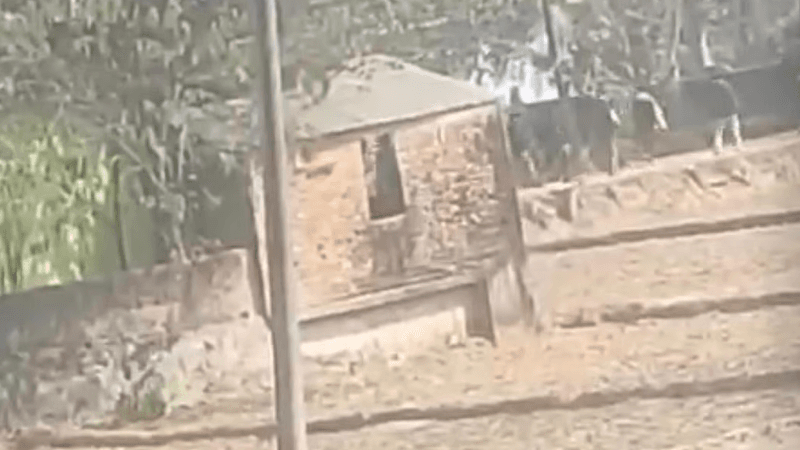 রাউজানে প্রবাসী বিএনপি কর্মীর বাড়ি লক্ষ্য করে গুলি