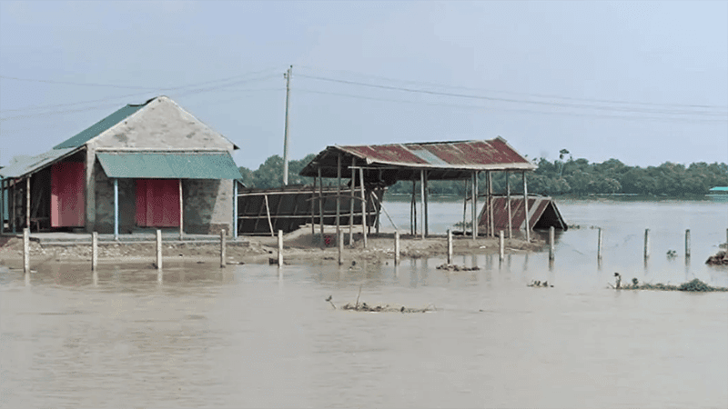 চাঁপাইনবাবগঞ্জে পদ্মায় কমছে পানি, বাড়ছে মহানন্দা ও পূনর্ভবায়