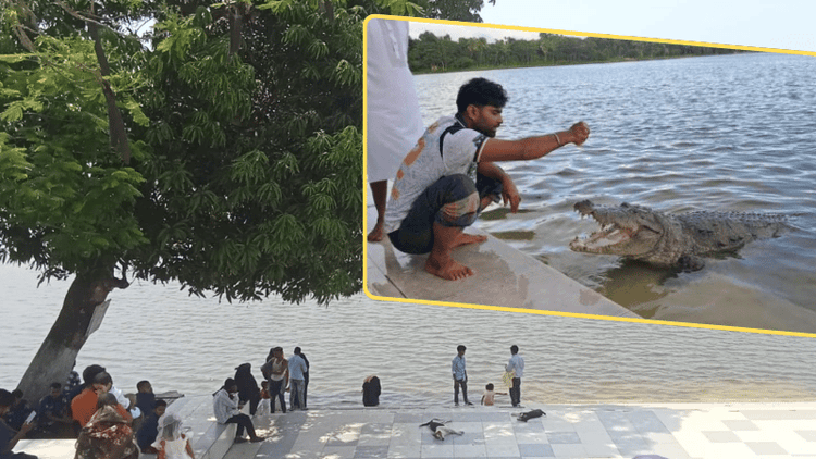 ডাঙায় উঠেও কুকুর শিকার করে দিঘির সেই কুমির