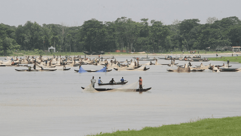হালদা নদীকে মৎস্য হেরিটেজ ঘোষণা করে প্রজ্ঞাপন জারি