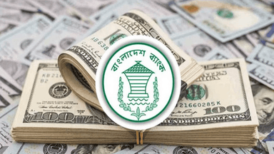 মে মাসের প্রথম ১৭ দিনে এল ২১৭ কোটি ডলার রেমিট্যান্স