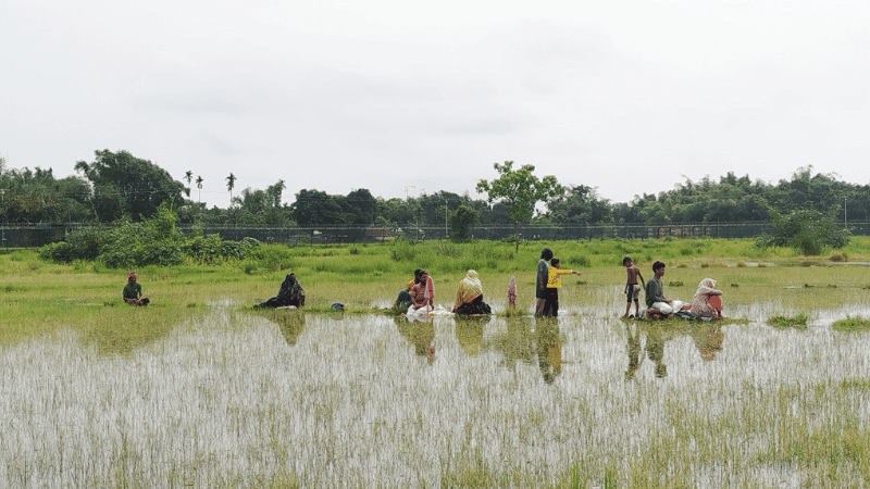 ৩০ ঘণ্টা ধরে জিরো লাইনে ১০ জন, গ্রহণ করছে না বাংলাদেশ-ভারত কোনো দেশই