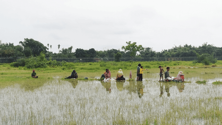 ৩০ ঘণ্টা ধরে জিরো লাইনে ১০ জন, গ্রহণ করছে না বাংলাদেশ-ভারত কোনো দেশই