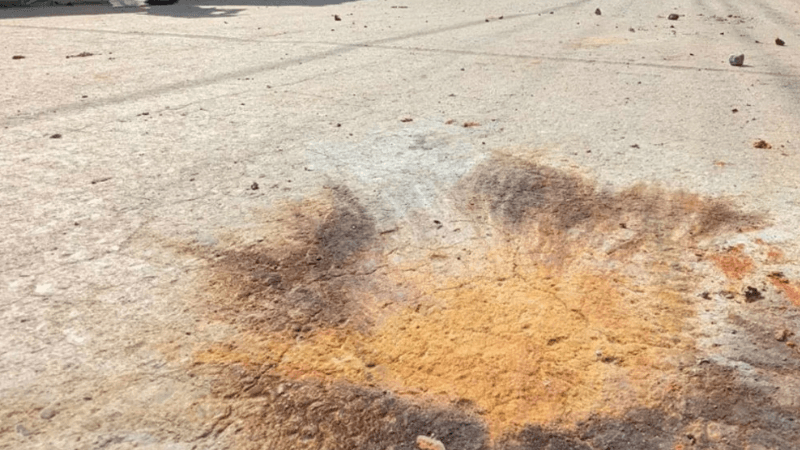 সোহরাওয়ার্দী উদ্যানের ছবির হাটে ককটেল বিস্ফোরণ