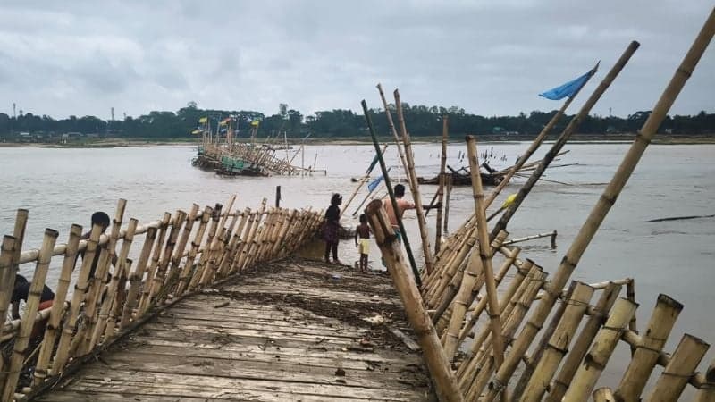 অতিবৃষ্টির ফলে দূর্গাপুর উপজেলায় ৩৬৫ হেক্টর জমির বোরোধান ক্ষতিগ্রস্ত: কৃষি কর্মকর্তা