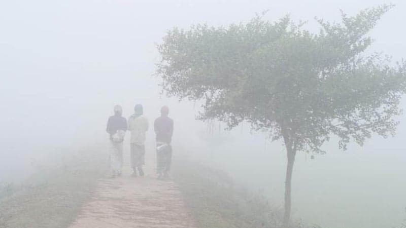 তেঁতুলিয়ায় বাড়ছে শীতের তীব্রতা, শৈত্যপ্রবাহের আভাস