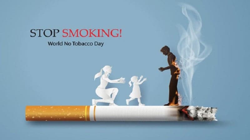 টাঙ্গাইলের চরাঞ্চলে তামাকচাষে হুমকিতে জনস্বাস্থ্য, ধ্বংসের মুখে জলজপ্রাণীও