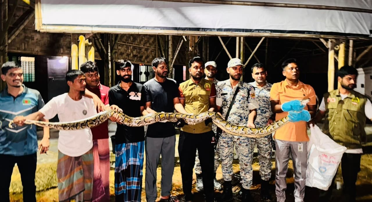 উখিয়ায় রোহিঙ্গা ক্যাম্প থেকে ১৫ ফুটের অজগর উদ্ধার, পরে অবমুক্ত