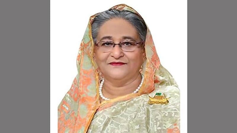 ভাষা আন্দোলনের আদর্শে বাংলাদেশ এগিয়ে যাচ্ছে: প্রধানমন্ত্রী