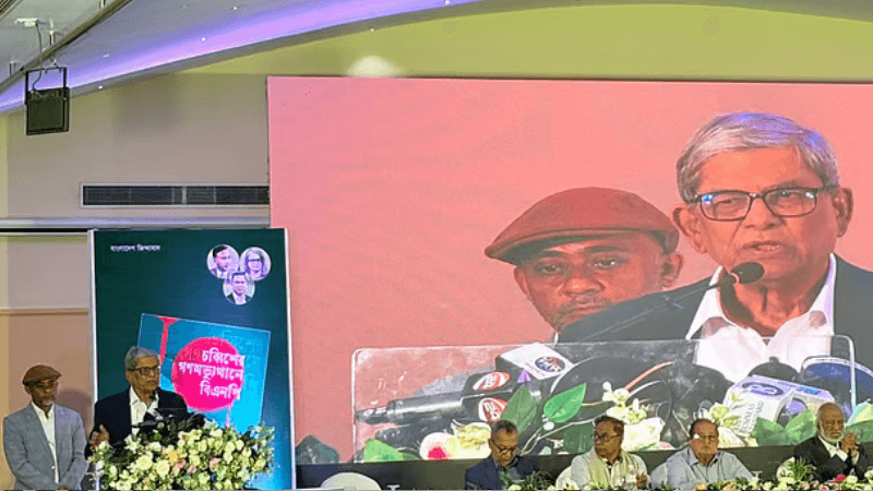 আমরা ট্রানজিশনাল পিরিয়ডে আছি, একটা দোলাচল চলছে: মির্জা ফখরুল