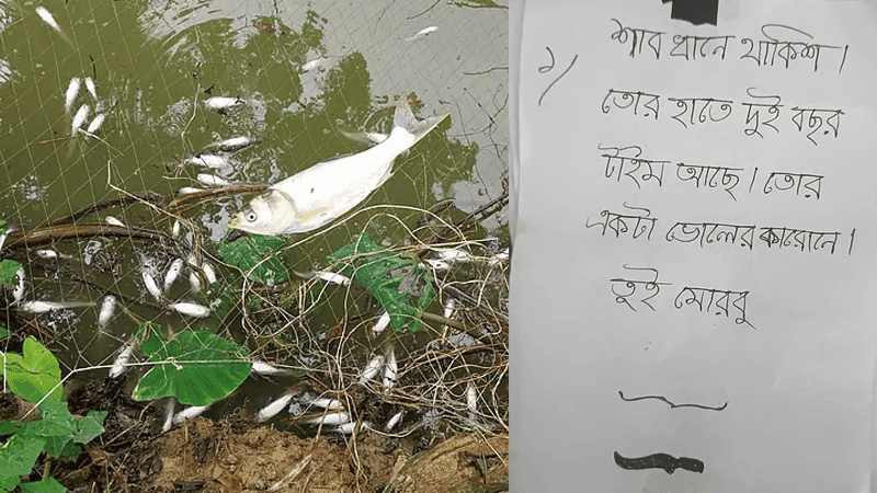 চিরকুটে হত্যার হুমকির পর তিন পুকুরে বিষ, ৫ লাখ টাকার মাছ নিধনের অভিযোগ