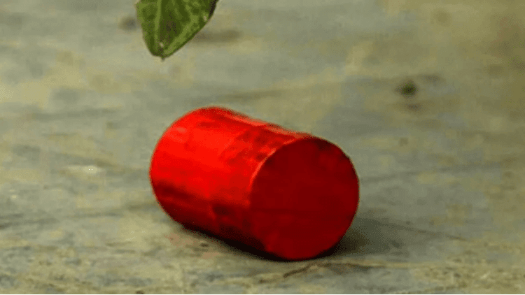 রাজবাড়ীতে আমবাগান থেকে ৪২টি অবিস্ফোরিত ককটেল উদ্ধার