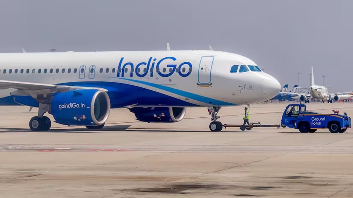 পাখির ধাক্কায় উড্ডয়নের পরই ফিরল ইন্ডিগো ফ্লাইট