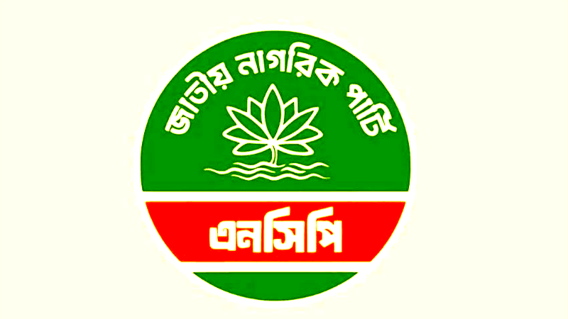 এক উপজেলায় এনসিপির সব নেতাকর্মীর ‘গণপদত্যাগ’