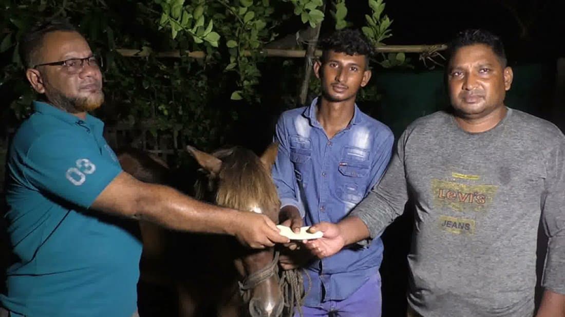 অন্ধ ঘোড়ার দেখভাল করা কলেজছাত্রকে প্রধানমন্ত্রীর উপহার