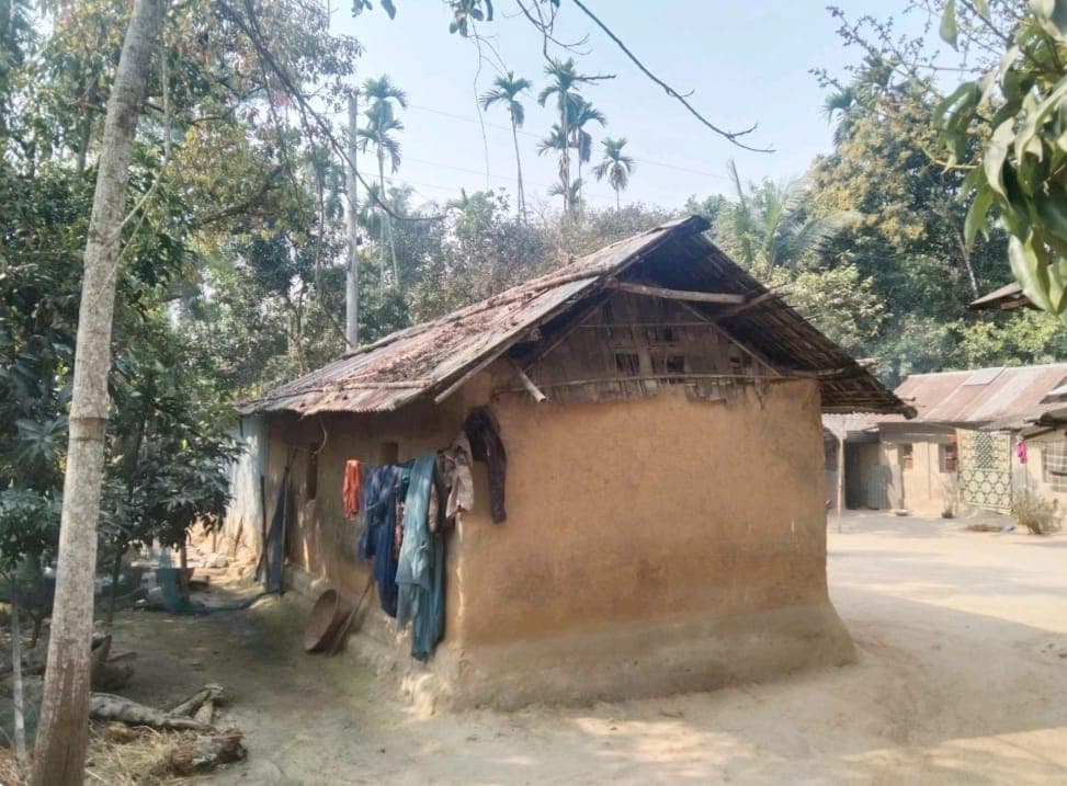 অসহায় বিধবা হেরন্তি কোচের মানবেতর জীবনযাপন