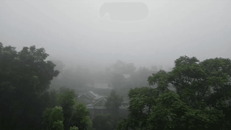 হঠাৎ ঘন কুয়াশায় ঢাকল নীলফামারী, শীতের আমেজ অনুভূত