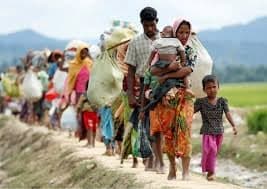 ৩৭ রোহিঙ্গাকে ফেরত পাঠিয়েছে বিজিবি