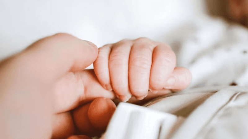 জন্মহার বাড়াতে মা-বাবার জন্য বাড়তি বেতনসহ ছুটির ব্যবস্থা চালু করল ফ্রান্স