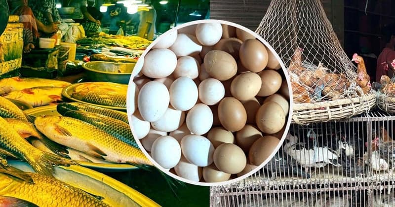 রাজধানীর বাজারে ডিম-মাছ-মুরগির দামে ঊর্ধ্বগতি, বেড়েছে আটা-চিনিও