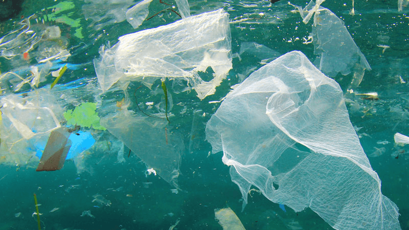 বঙ্গোপসাগরের ২ কিলোমিটার গভীরেও প্লাস্টিক দূষণ