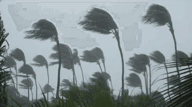 কালবৈশাখী ঝড় মোকাবিলায় সুরক্ষা নিশ্চিত করবেন যেভাবে
