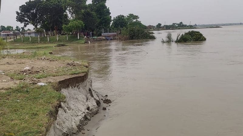 কুষ্টিয়ায় পদ্মার ভাঙনে বিজিবির বিওপি বিলীন