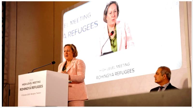 রোহিঙ্গাদের শরণার্থীদের সহায়তায় আরও ৪৫ লাখ পাউন্ড ঘোষণা যুক্তরাজ্যের