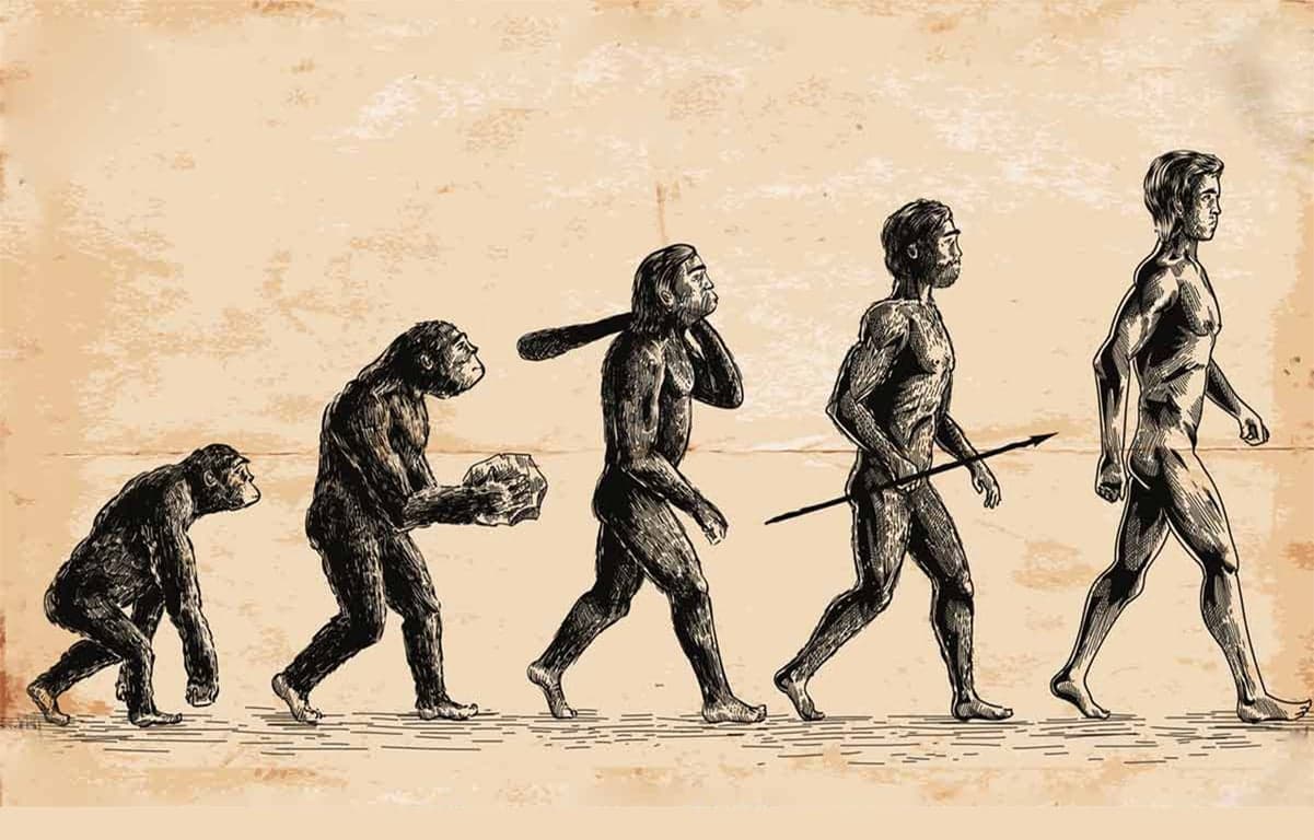 পাঠ্যবই থেকে ডারউইনের বিবর্তনবাদ বাদ দিতে আইনি নোটিশ