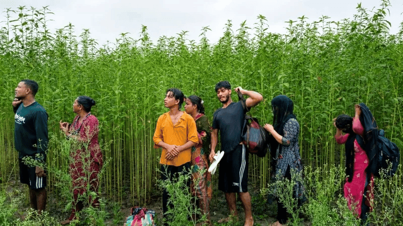 কুষ্টিয়া সীমান্তে ৮ জনকে পুশইনের চেষ্টা প্রতিহত বিজিবির
