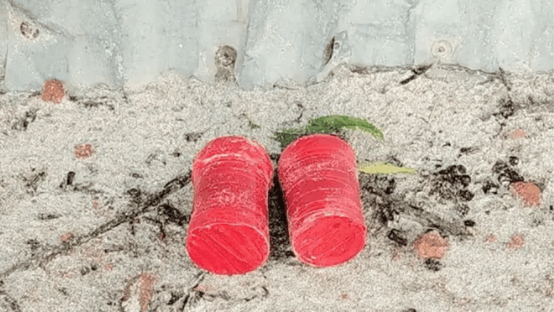 মেহেরপুরে বিএনপি নেতার বাড়ির সামনে বোমাসদৃশ বস্তু উদ্ধার