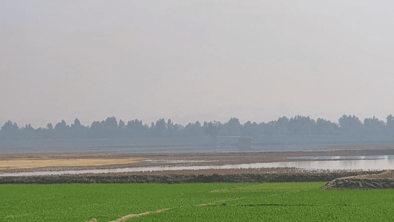 টেকনাফ সীমান্তের ওপারে মিয়ানমারের বিমান হামলা