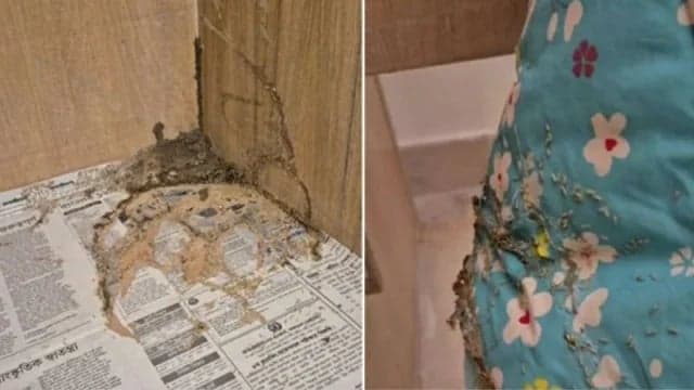 কক্ষে উইপোকা, মাঝরাতে সার্কিট হাউজ ছাড়লেন বিরোধীদলীয় উপনেতা