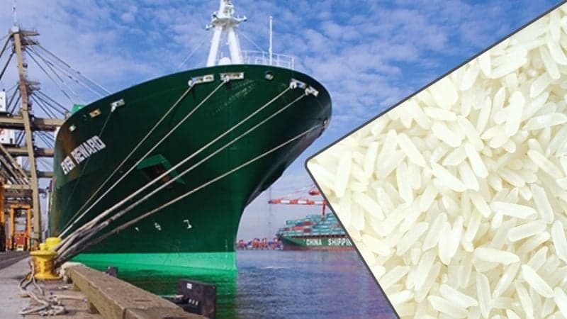 চট্টগ্রাম বন্দরে পৌঁছাল ভারত ও মিয়ানমারের ৩৭ হাজার টন চাল