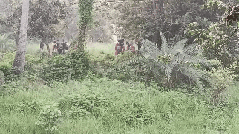 চাঁপাইনবাবগঞ্জ সীমান্ত থেকে ২৮ জনকে সরিয়ে নিল বিএসএফ