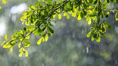 সিলেট-চট্টগ্রামে বৃষ্টির সম্ভাবনা