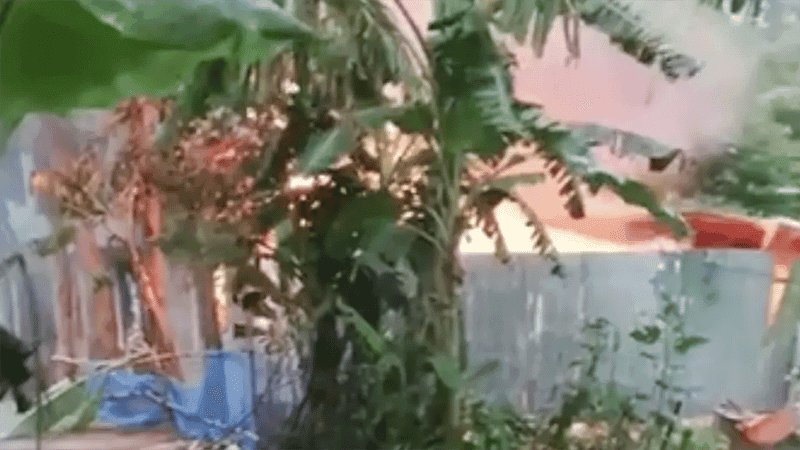 পাবনায় ধর্ষণ-হত্যার জেরে আসামির বাড়িতে আগুন, দগ্ধ তিনজনের মৃত্যু