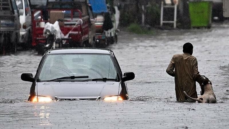 পাঞ্জাবে টানা বর্ষণে ৪৮ ঘণ্টায়  ৭১ জনের মৃত্যু, আরও দুর্যোগের আশঙ্কা