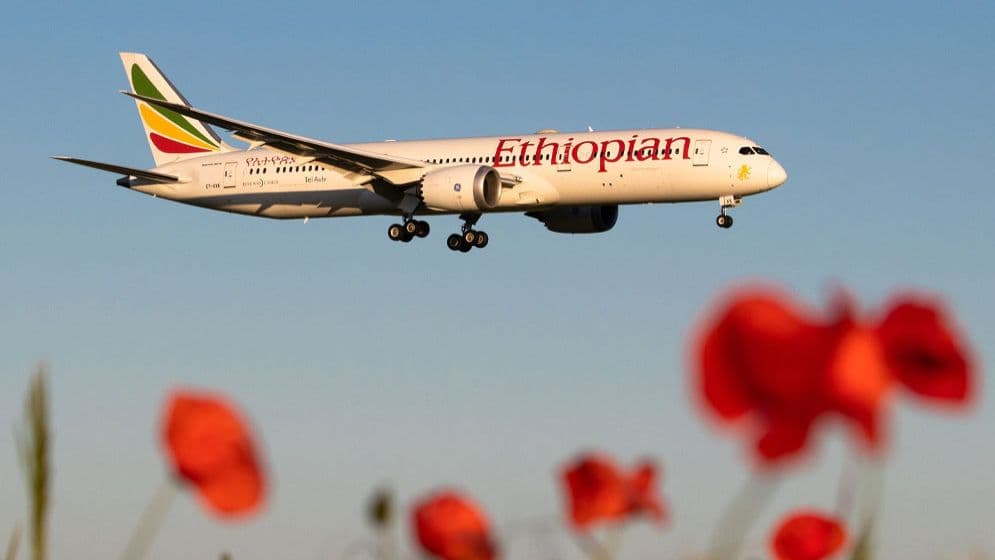 শাহজালাল বিমানবন্দর থেকে এ পর্যন্ত ৯৭২টি ফ্লাইট বাতিল